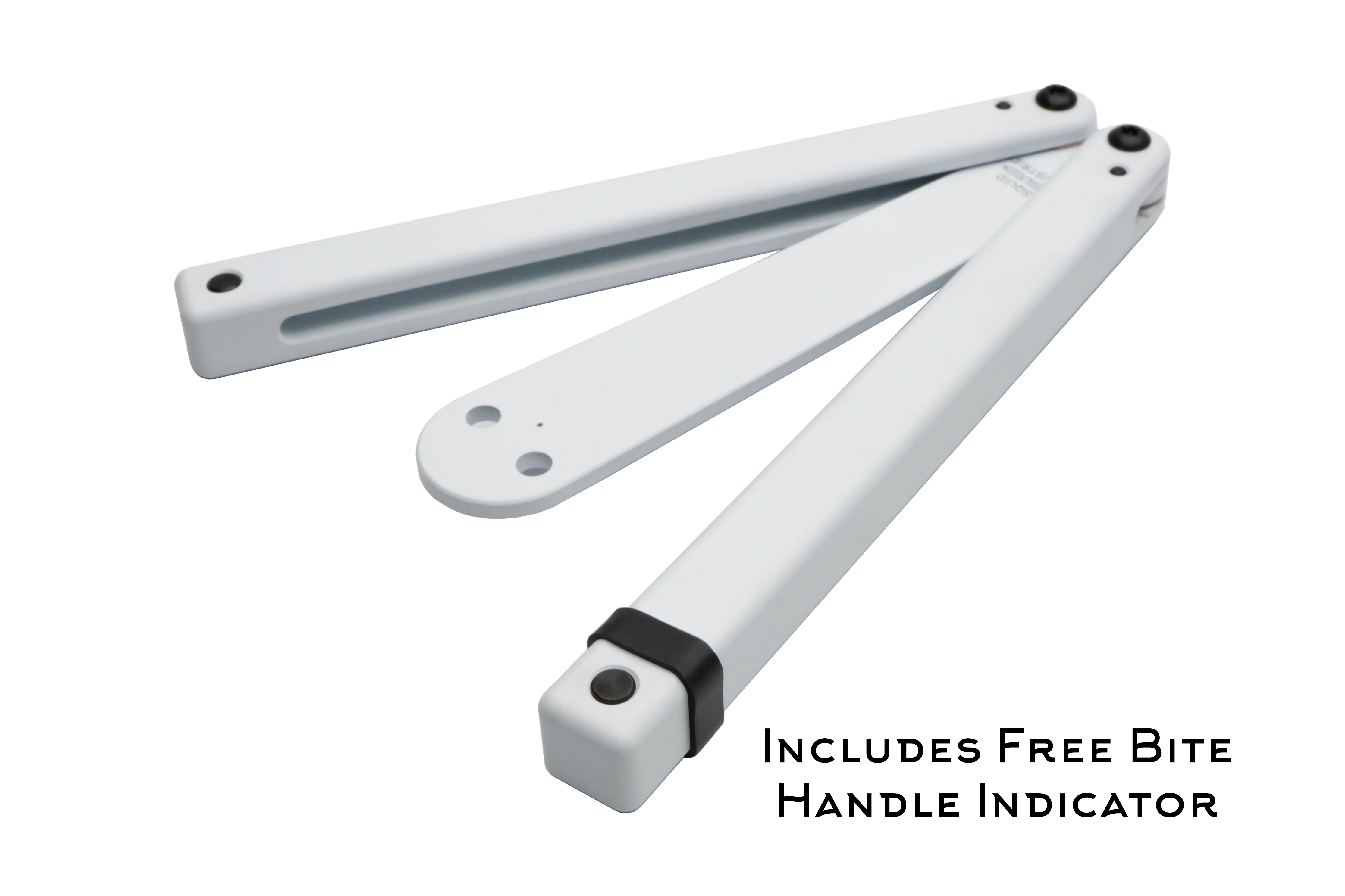 Squiddy - Image 4